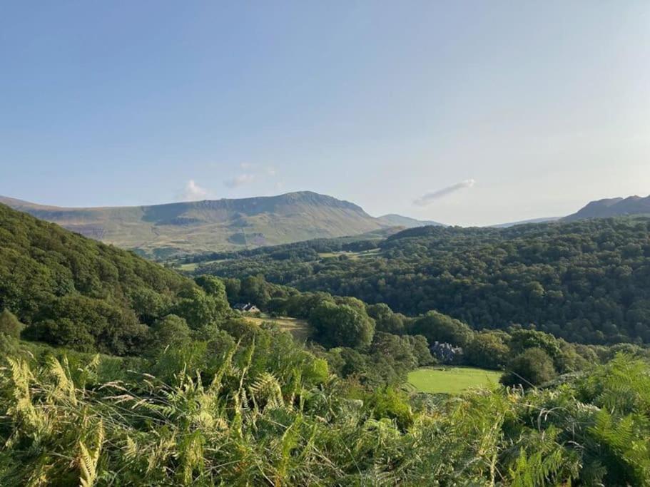 Y Gribyn - Modern Stone Cottage Within Snowdonia'S National Park Долгеллау Экстерьер фото